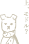 ページの先頭へ